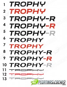 Trophy-R Megane